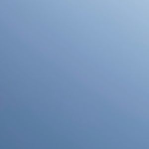 Meet your Posher, Owen